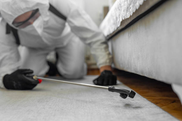 Professional Pest Control technician working in Wanamingo, MN